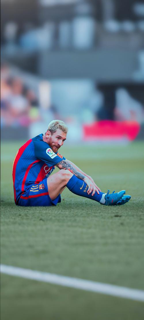 布朗狂砍50分带队狂胜！凯尔特人31分大胜快船迎三连胜